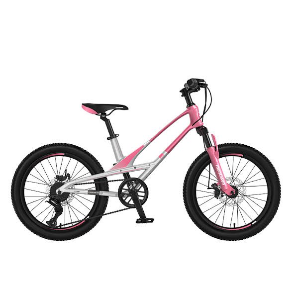 VELO ENFANT 20 POUCES