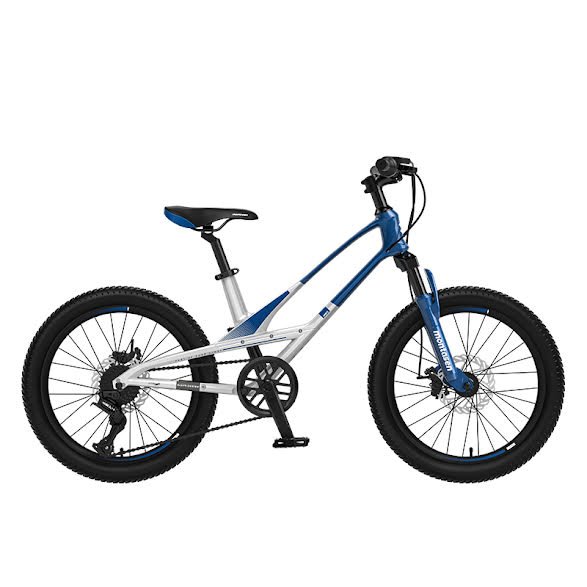 VELO ENFANT 20 MT